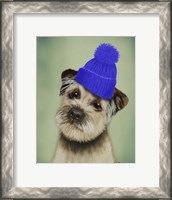 Framed Border Terrier with Blue Bobble Hat