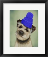 Border Terrier with Blue Bobble Hat Framed Print
