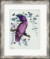 Framed Pink Parrot