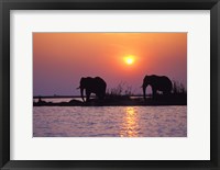 Framed Elephants at Sunset