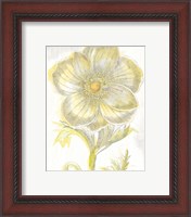 Framed 'Belle Fleur Yellow II Crop' border=