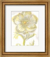 Framed Belle Fleur Yellow II Crop