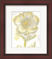 Framed Belle Fleur Yellow II Crop