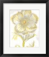 Framed Belle Fleur Yellow II Crop