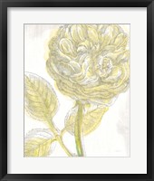 Framed Belle Fleur Yellow III Crop