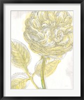 Framed Belle Fleur Yellow III Crop