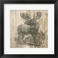 Natural History Lodge VIII Framed Print