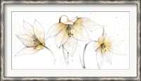 Framed Gilded Graphite Floral Trio