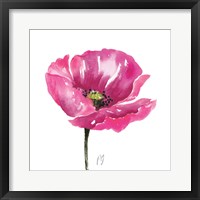 Poppies Tempo I Framed Print