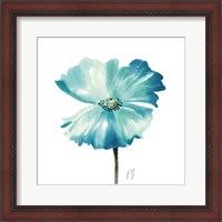 Framed Poppies Tempo II