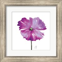 Framed Poppies Tempo III