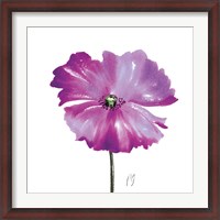 Framed Poppies Tempo III