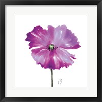 Poppies Tempo III Framed Print