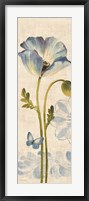 Watercolor Poppies Blue Panel I Framed Print