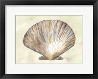 Framed Sea Shells Neutral 2