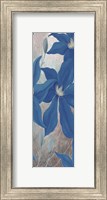 Framed Blue Clematis Cavees II