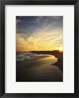 Framed Seagull Flying Into Beach Sunset