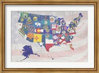 Framed US State Flags
