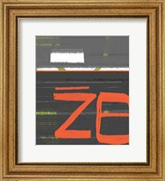 Framed Z8