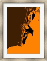 Framed Jazz Orange 2
