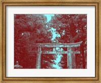 Framed Nikko Gate