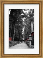 Framed Road To The Temple