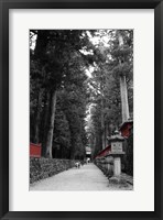 Framed Road To The Temple