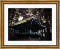 Framed Nikko Architectural Detail