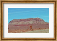 Framed Desert Mountain