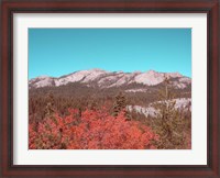 Framed Sierra Nevada Mountains