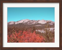 Framed Sierra Nevada Mountains