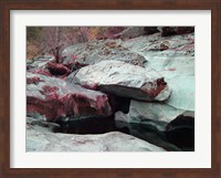 Framed Sierra Nevada Forest