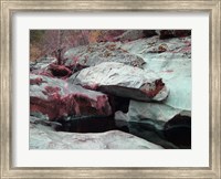 Framed Sierra Nevada Forest