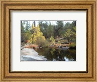 Framed Lake In The Forest