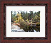 Framed Lake In The Forest