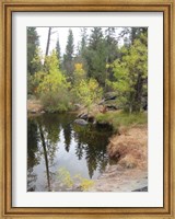 Framed Lake In Sierras