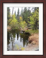 Framed Lake In Sierras