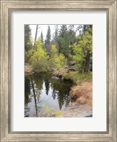 Framed Lake In Sierras