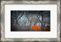 Framed Central Park