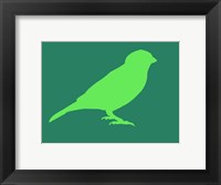 Framed Light Green Bird