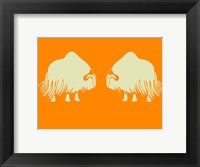Framed Two White Oxes
