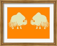 Framed Two White Oxes