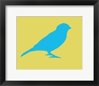 Framed Blue Bird