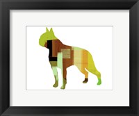 Framed Boston Terrier