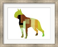 Framed Boston Terrier