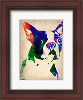 Framed Boston Terrier Watercolor