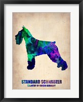 Framed Standard Schnauzer