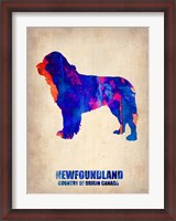 Framed Newfoundland 2