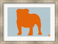 Framed French Bulldog Orange