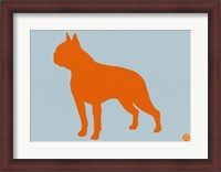 Framed Boston Terrier Orange